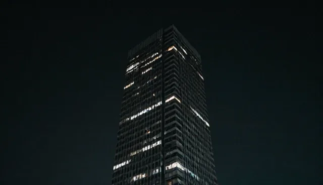 项目管理中行业定制服务的选择依据与适用条件